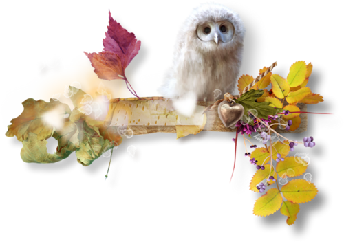 őszi állatok_97.png